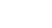 V Services